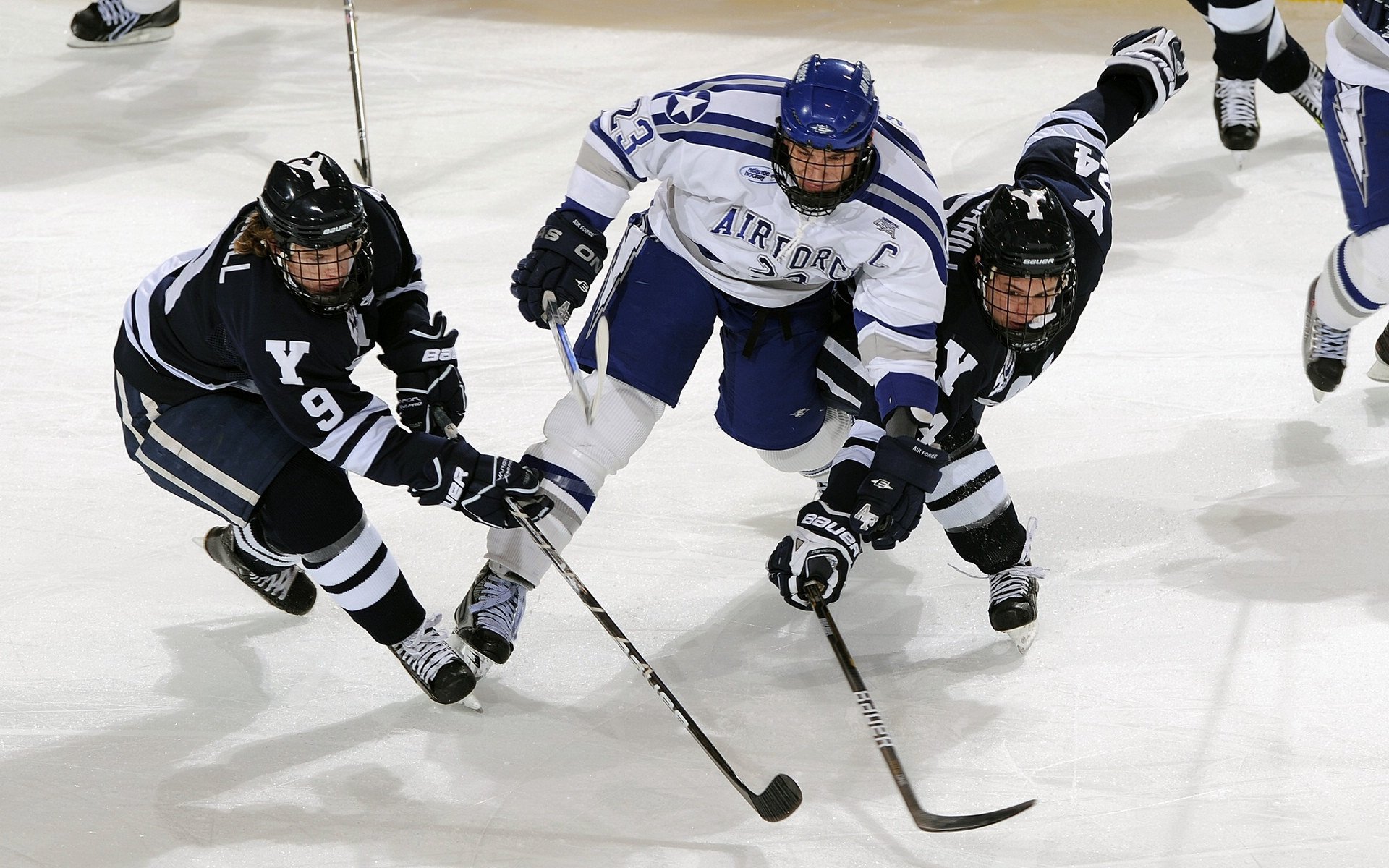 _爵士队攻防两端稳定，排名持续提升_，爵士队强不强