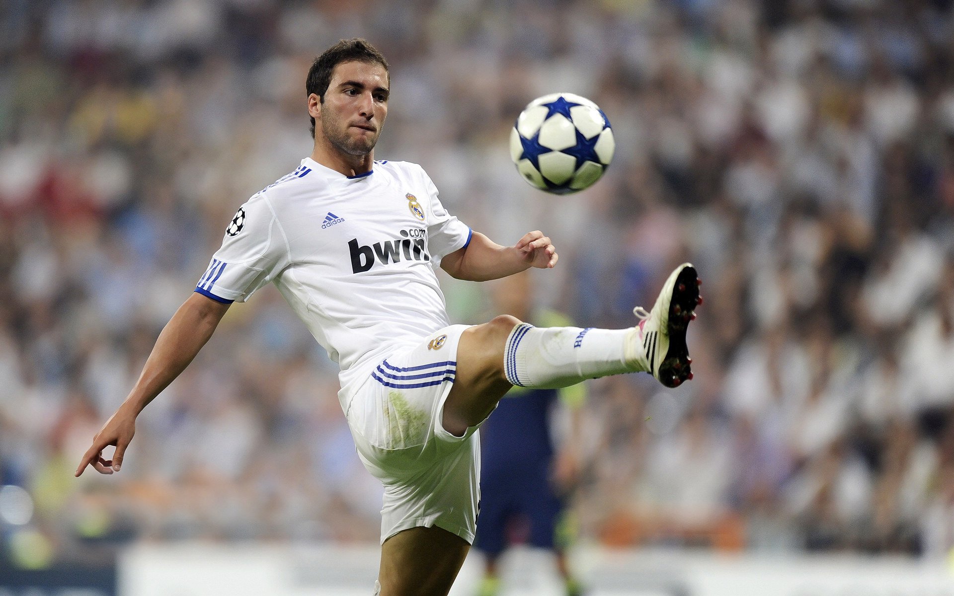 “当天最火爆：明星突发奇想带来神级表现”，突然火起来的明星