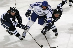 kaiyun体育app-_女子网球运动员权益保护策略全面升级_，女子网球选手