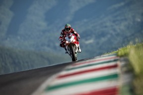 灰熊主场战绩持续下滑，球队面临挑战和改变，灰熊主场图片